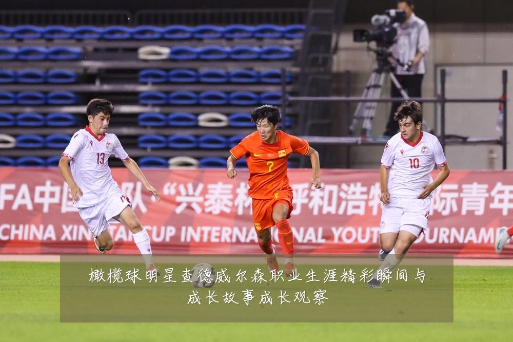 橄榄球明星查德威尔森职业生涯精彩瞬间与成长故事成长观察